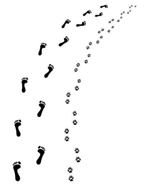 Fußabdrücke von nackten Füßen und Pfoten Hund, rechts abbiegen - Vektor, Bild