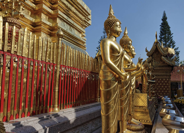 Thaimaa, Chiang Mai, Prathat Doi Suthep temppeli (Wat Prathat Doi Suthep), kultainen Buddha patsaat
 - Valokuva, kuva