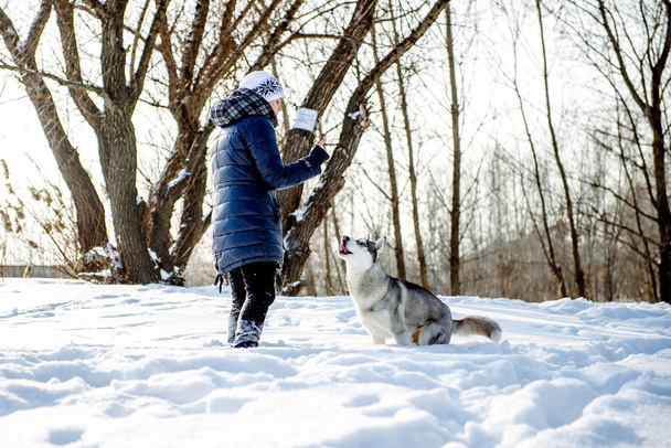 κορίτσι με ένα σκυλί σκύλος χάσκεϋ χειμώνα - Φωτογραφία, εικόνα