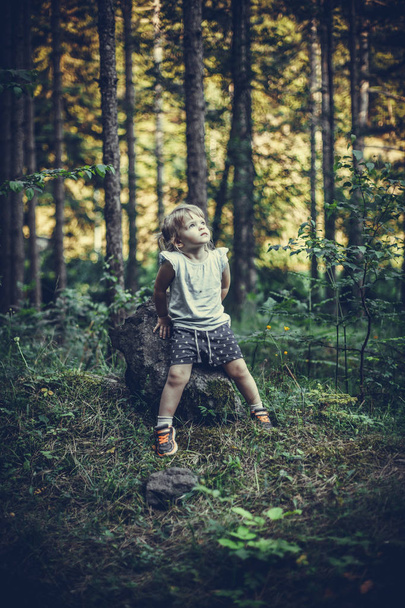 Mała dziewczynka siedzi sama na skale w lesie - Zdjęcie, obraz