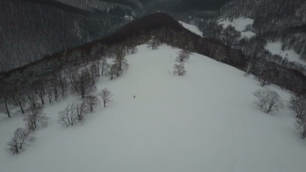 Luftaufnahme eines Snowboarders, der an einem Bergrücken zwischen Bäumen absteigt. Vogelperspektive über weißem Pulverschnee, Winter-Extremsport, Freeride. - Filmmaterial, Video