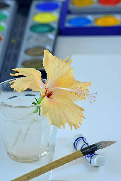 close-up photo of beautiful yellow flower blooming  - Foto, Imagen