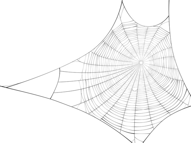 Vector silhouette of web of spider. - Vector, Image