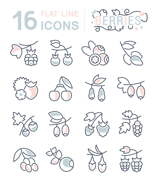 Set Vector Line Icons of Berries. - Vector, Image