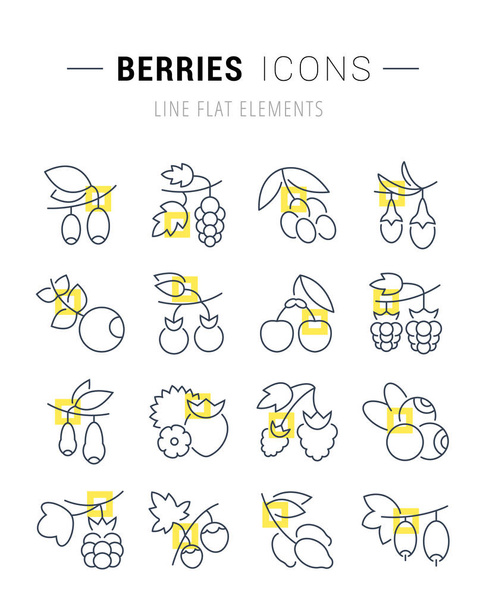 Set Vector Line Icons of Berries. - Vector, Image