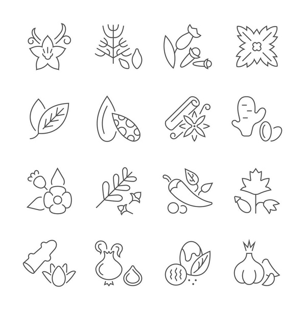 Set of Simple Icons of Spices. - Vector, Image
