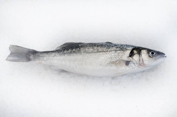 Sea Bass fish on ice - Zdjęcie, obraz