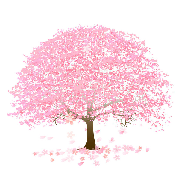 Wiśniowe kwiaty ikona wiosennego kwiatu - Wektor, obraz
