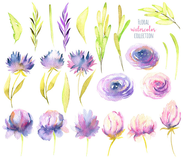Watercolor pink and purple peonies, roses, asters and green branches collection, isolated elements set, hand painted on a white background - Photo, Image