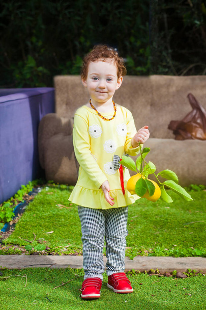 Redhead toddler holding lemon bunch - Photo, Image