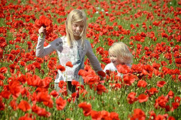 Две девочки, 9 и 4 года, в поле с маковыми цветами
, - Фото, изображение