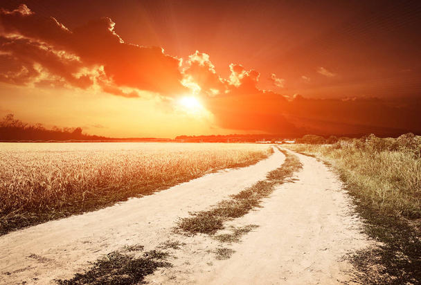 ground road in field on sunset background - Photo, Image