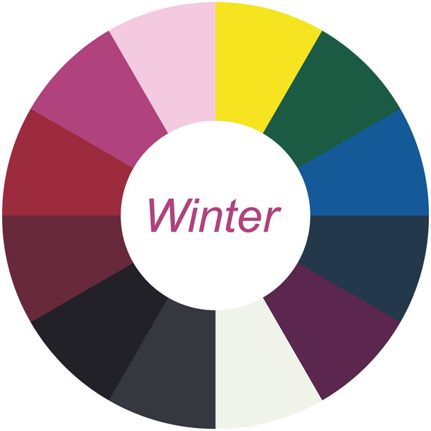株式ベクトル色ガイド。冬型の季節の色解析パレット。女性の外観の種類 - ベクター画像