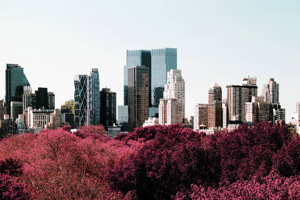 Rare view of NYC skyline from central park in color infrared - Photo, Image