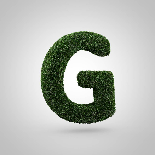 Grass letter G uppercase - Foto, afbeelding