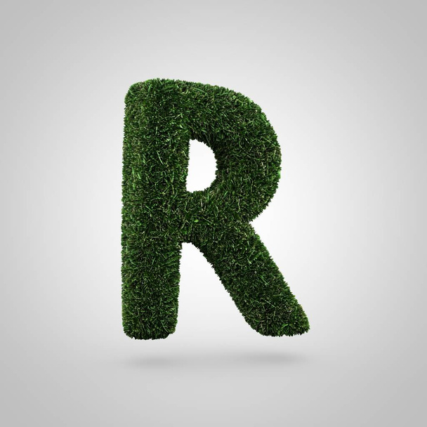 Grass letter R uppercase - Photo, image