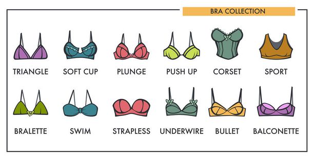 Woman bra types collection vector icons of fashion brassiere lingerie - Vektör, Görsel