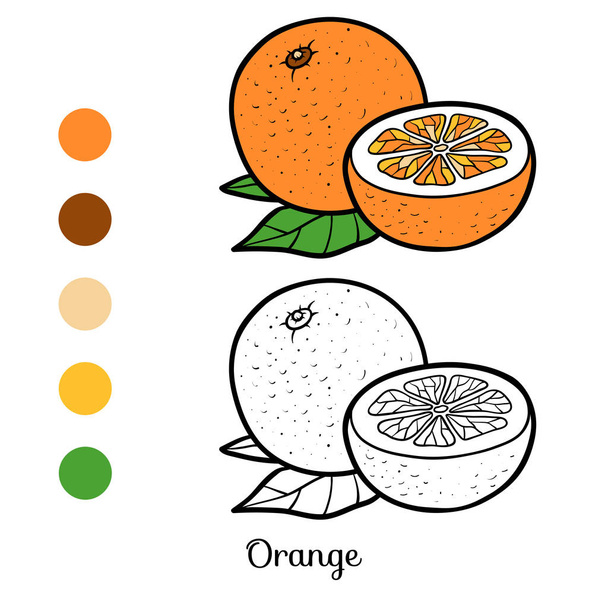 オレンジの塗り絵 - ベクター画像