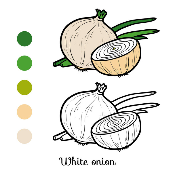 Libro para colorear, cebolla blanca
 - Vector, Imagen