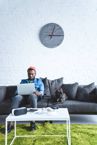 Digital devices on table in front of young man working on laptop and sitting om sofa by French bulldog - 写真・画像