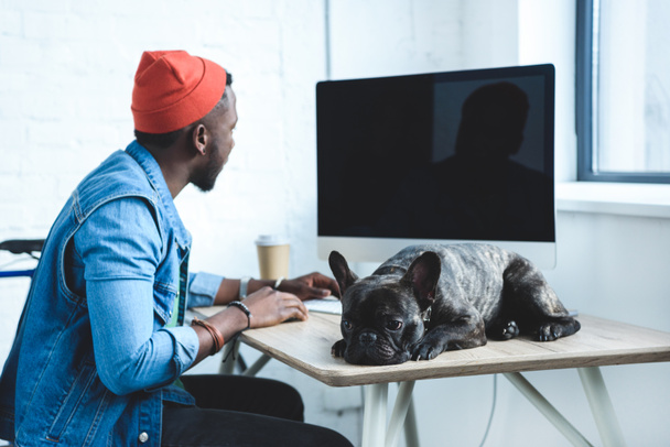 African american man working by computer while French bulldog lying on table - Фото, зображення