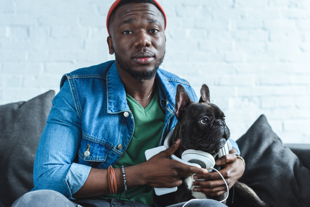 Young man wearing headphones on Frenchie dog - Φωτογραφία, εικόνα