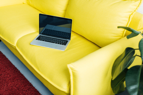 Ordenador portátil con pantalla en blanco en el sofá amarillo con la planta en maceta al lado
 - Foto, Imagen