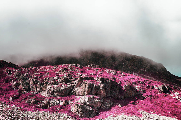 A view of beautiful landscape and rocks in a foggy day in the alps switzerland in color infrared - 写真・画像