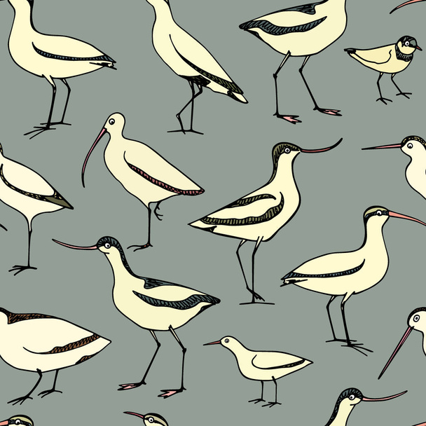 Hand drawn shorebird pattern - Vektor, obrázek