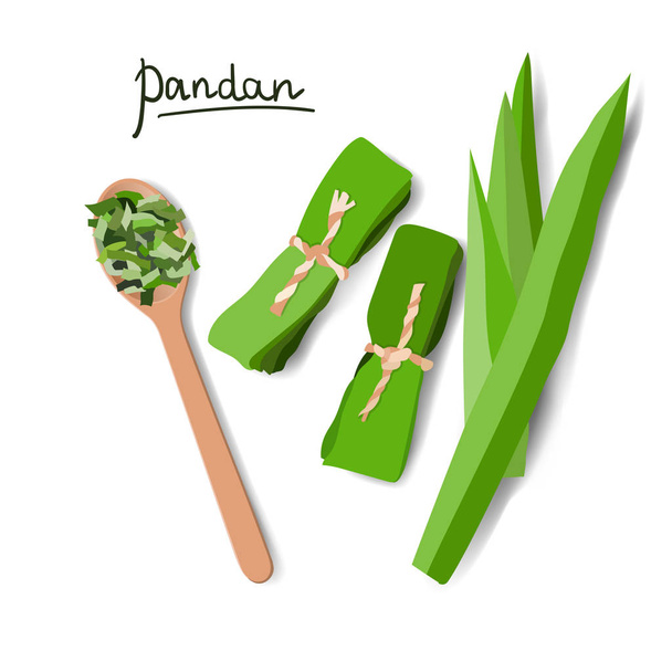 Vector illustration of pandan leaves, shredded pandan spices in wooden spoon and wrapped leaves - Vector, Image