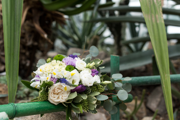 vista de cerca del hermoso ramo de bodas elegante en el jardín botánico
 - Foto, Imagen