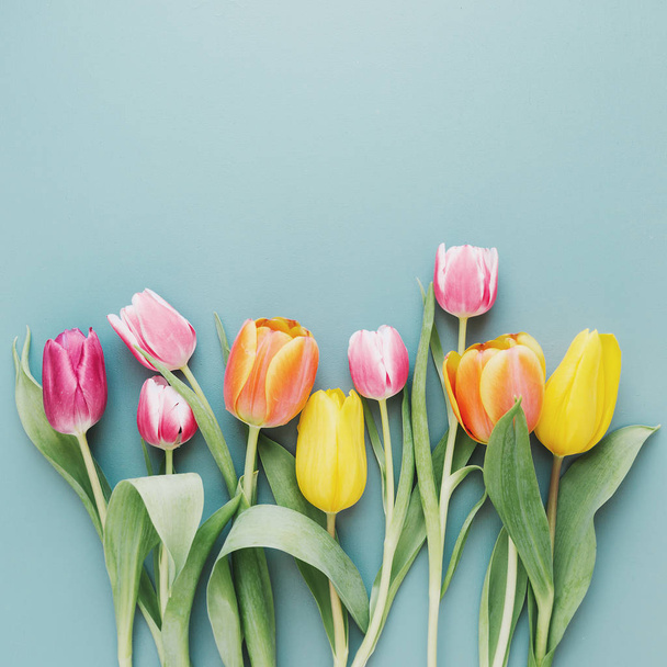Beautiful blooming tulips on gray - Foto, afbeelding