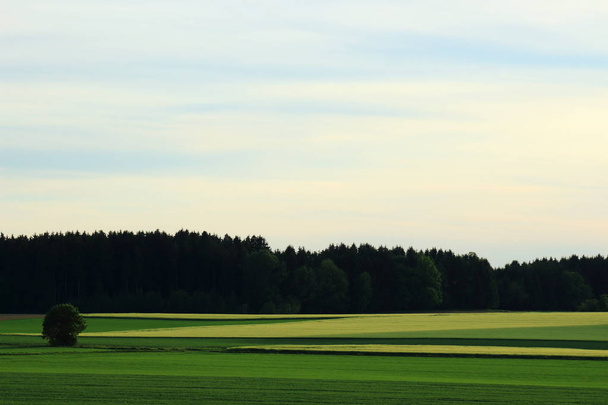 vista sobre la tierra agrícola
 - Foto, Imagen