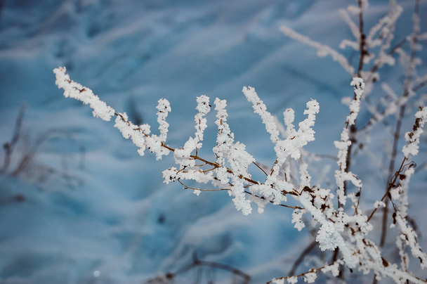 Winterlandschap met een rijke sneeuwvlok - Foto, afbeelding