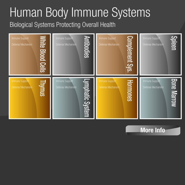 Grafico dei sistemi immunitari del corpo umano
 - Vettoriali, immagini