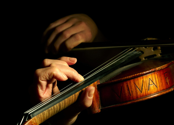 Musician playing violin isolated on blac - Фото, зображення