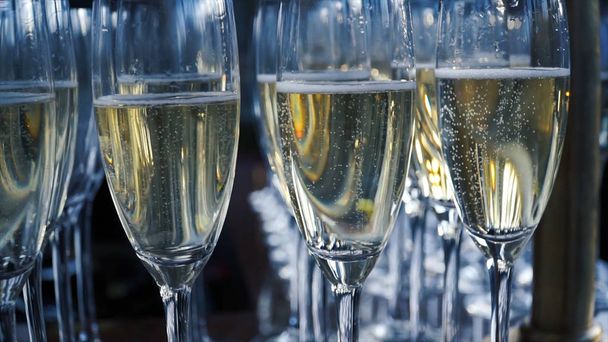 Glasses of champagne with a large depth of field. Clip. Many Glass of champagne. A lot of wine glasses with a cool delicious champagne or white wine at the bar. Alcohol background - Photo, Image