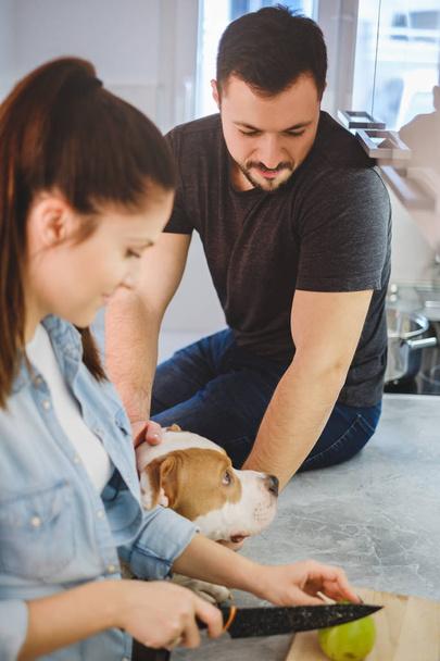 Uomo coccole cane in cucina mentre fidanzata taglio mela
 - Foto, immagini