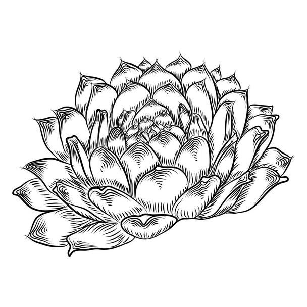Drawing cactus Succulent bouquets elements for invitations, greeting cards, covers and other items. Vector. - ベクター画像