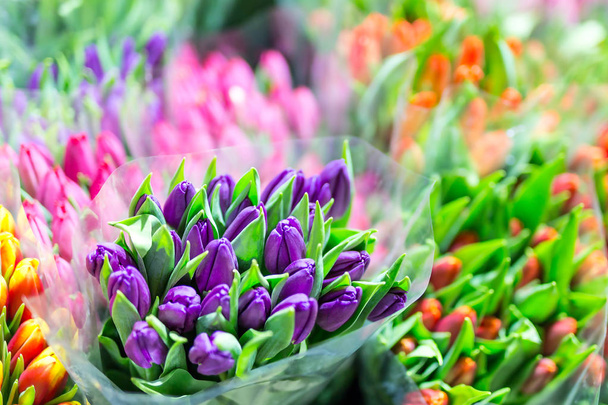 Piękne, kolorowe bukiety. Różnych świeże tulipany w kwiaciarni. Sklep hurtowy lub detaliczny kwiat. Magazynu fabryki. Kwiaciarnia agencji. Uprawy i uprawy kwiatów - Zdjęcie, obraz
