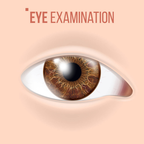 Vector de ojos humanos. Concepto de visión. Clinic Medical Eye Diagnostic (en inglés). Ilustración de detalle realista
 - Vector, Imagen