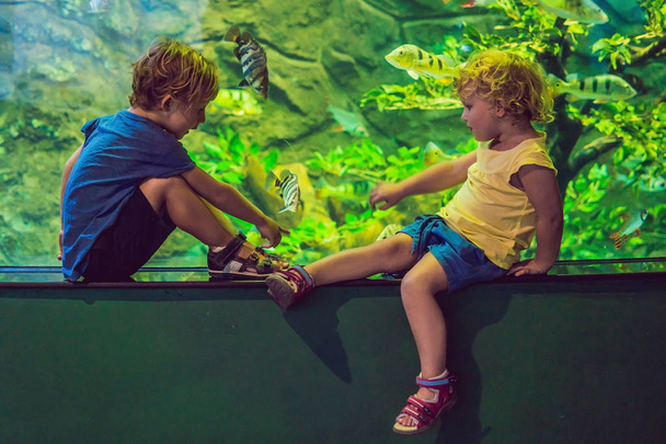 Little Boy and girl watching tropical coral fish in large sea life tank. Kids at the zoo aquarium - Fotó, kép