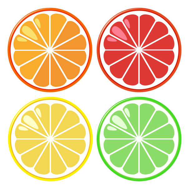 Four slices of oranges in four colors - Vecteur, image