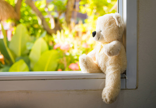white Teddy Bear  sitting alone on white window,vintage style - Zdjęcie, obraz