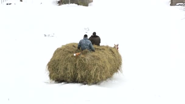 Harvesting the hay for the winter. Winter in Carpathians - Footage, Video
