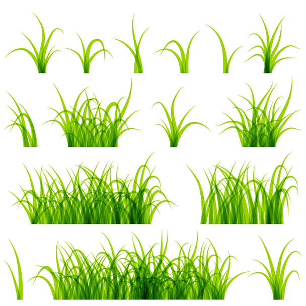 Groen gras set geïsoleerd op een witte achtergrond vector - Vector, afbeelding