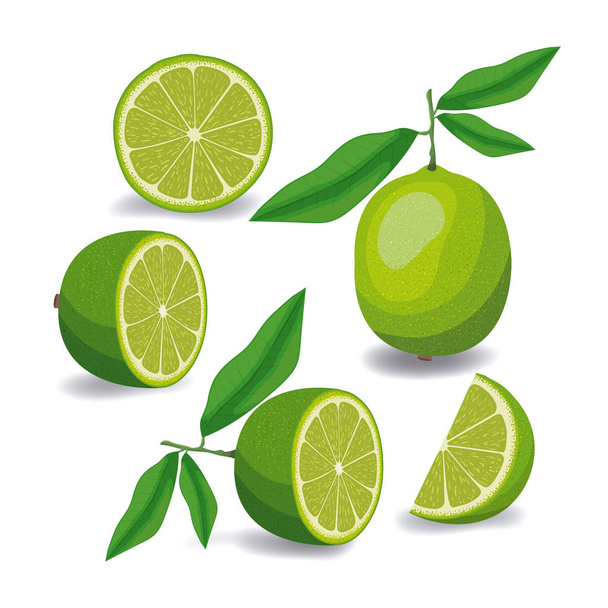 fruta de limón entera y en rodajas en silueta de colores sobre fondo blanco
 - Vector, Imagen