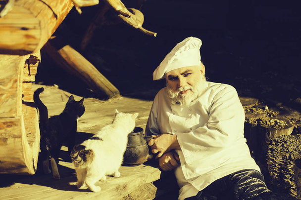 bearded cook with kettle and cats - Foto, afbeelding