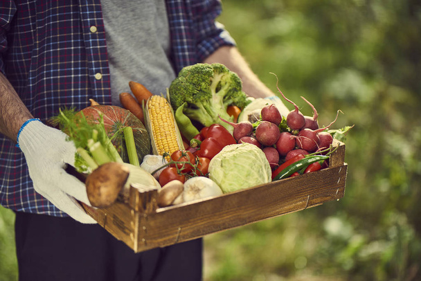 Крупним планом руки людини тримають дерев'яну коробку зі здоровими органічними овочами, розмитий фон літнього парку
 - Фото, зображення