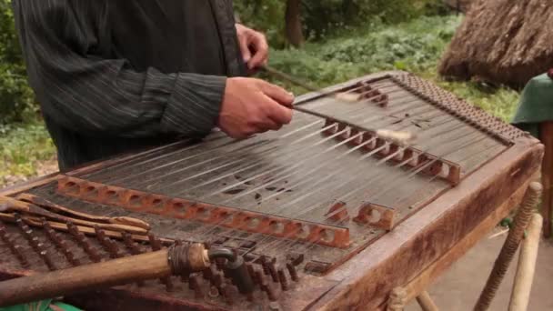 Playing the dulcimer folk musical instrument from Europe - Footage, Video